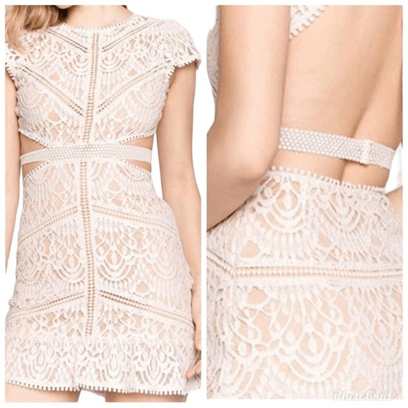 Elegant Navy Lace Dress - Picture 5 of 5